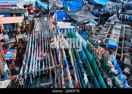 wäsche waschen, dhobi ghat Stockfoto