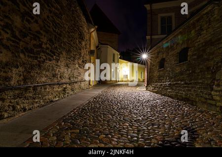 Kopfsteinpflasterstraße in der Stadt Tallinn bei Nacht mit beleuchteten Straßenlampen. Stockfoto