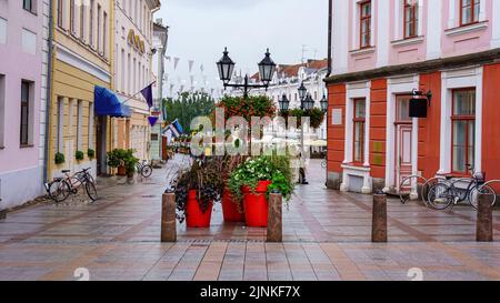 Straße mit Pflanzen und Blumen neben dem Hauptplatz von Tartu in Estland. Stockfoto