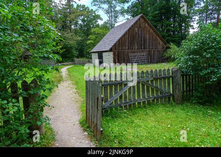 Pfad im Wald, der zur alten Blockhütte führt. Stockfoto