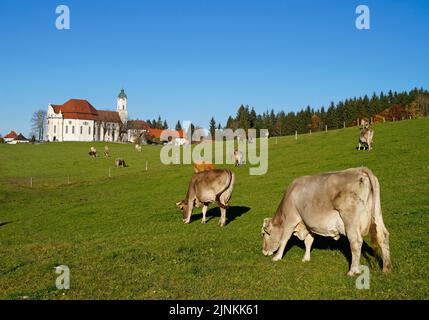 Schöne Wieskirche oder Wallfahrtskirche von wies in Steingaden in den bayerischen Alpen, Allgau (Bayern, Deutschland) Stockfoto