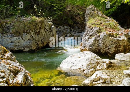 Ein smaragdgrüner Bach (Steinacher Achen) in Pfronten, Fallmühle, in den bayerischen Alpen des Allgäu (Allgäu, Bayern, Deutschland) Stockfoto