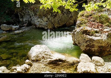 Ein smaragdgrüner Bach (Steinacher Achen) in Pfronten, Fallmühle, in den bayerischen Alpen des Allgäu (Allgäu, Bayern, Deutschland) Stockfoto