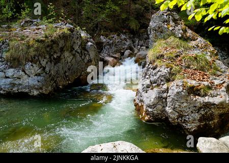 Ein smaragdgrüner Bach (Steinacher Achen) in Pfronten, Fallmühle, in den bayerischen Alpen des Allgäu (Allgäu, Bayern, Deutschland) Stockfoto