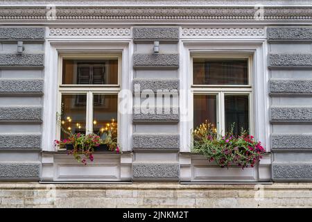 Symmetrische Fenster mit Pflanzen und Blumen auf einer klassisch anmutenden Fassade. Stockfoto