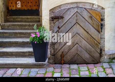 Sehr alte hölzerne Planktür neben dem Blumentopf mit Blumen. Tallinn Stockfoto