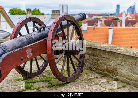 Alte Artilleriekanone neben der mittelalterlichen Mauer von Tallinn Estland. Stockfoto