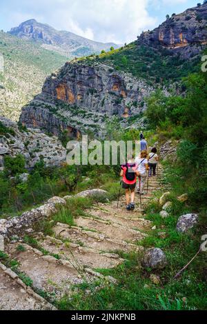 Eine Gruppe von Menschen, die auf dem Bergweg die Stufen hinunter wandern. Stockfoto