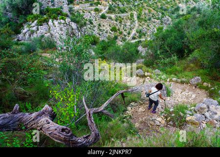 Frau, die den Bergweg zwischen Steinen und Vegetation hinuntergeht. Stockfoto