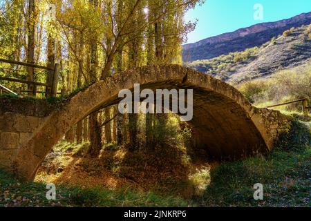 Steinbogenbrücke über Blatt bedeckten Weg im Herbst. Stockfoto