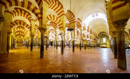 Panoramablick auf die Cordoba Moschee im Inneren, beleuchtet von Tageslicht. Stockfoto