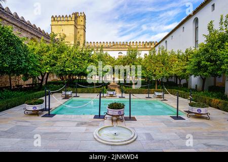 Patio mit Springbrunnen und Orangenbäumen neben der Wand des Alcazar von Cordoba in Spanien. Stockfoto