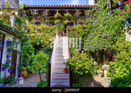 Typisch andalusischer Innenhof in Córdoba mit Pflanzen, Blumen und Treppen zum Obergeschoss. Spanien. Stockfoto