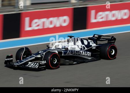 Pierre Gasly während des GP FRANCE 2022 Stockfoto