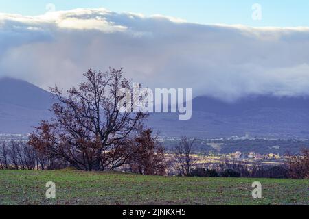 Winterberglandschaft mit blattlosen Bäumen und rustikalen Häusern am Fuße des Berges. Stockfoto