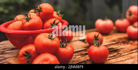 Frische, saftige Tomaten bedeckt mit Wassertropfen auf einem Holztisch Stockfoto