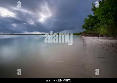 Makelloser und türkisfarbener Strand an der Tortuga Bay, bevor der Sturm eintrifft, Santa Cruz Inseln, Galapagos, Ecuador Stockfoto