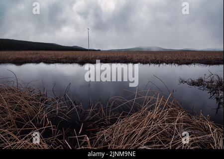 Klamath National Wildlife Refuge, Kalifornien. Stockfoto