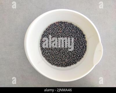 Foto von oben von gepflückten reifen schwarzen Holunderbeeren (Sambucus nigra) in einer Schüssel Stockfoto