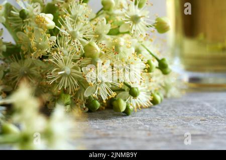Nahaufnahme von frischen Linden- oder Tilia-Cordata-Blüten auf einem Tisch im Juni mit einer Tasse Kräutertee im Hintergrund Stockfoto
