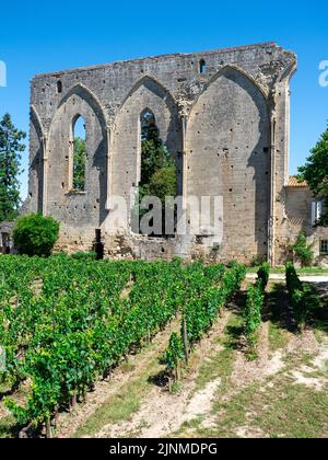 Weinberglandschaft in der Nähe der Region Saint Emilion Bordeaux Frankreich Stockfoto