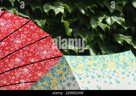 Set von bunten japanischen Sonnenschirmen über einer Wand voll von einer grünen Pflanze bedeckt Stockfoto