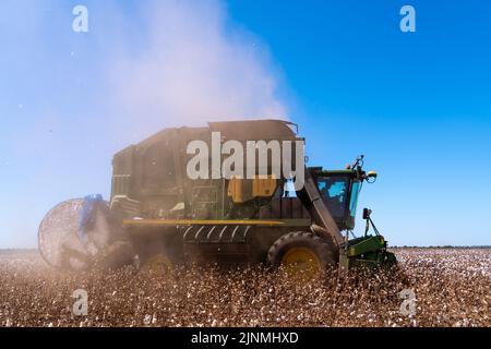 Mato Grosso, Brasilien, Juli 18 2022: Moderne Harvestermaschine, die am Sommertag bei der Baumwollernte arbeitet. Mato Grosso, Brasilien. Konzept der Landwirtschaft. Stockfoto