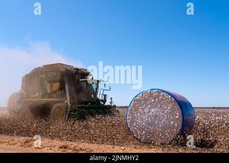 Mato Grosso, Brasilien, Juli 18 2022: Moderne Harvestermaschine, die am Sommertag bei der Baumwollernte arbeitet. Mato Grosso, Brasilien. Konzept der Landwirtschaft. Stockfoto