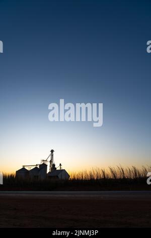 Wunderschöne Silhouette Blick auf Silos in Sojabohnenfarm und Maisplantage bei Sonnenuntergang auf BR-163 Straße. Mato Grosso, Brasilien. Konzept der Landwirtschaft, Ökologie. Stockfoto