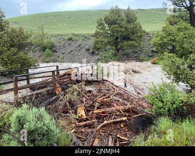 Yellowstone-Nationalpark, Wyoming, USA. 14.. Juni 2022. Auf einem Foto, das der Yellowstone National Park am 13. Juni 2022 zur Verfügung gestellt hat, befindet sich nach Überschwemmungen auf einer ausgewaschenen Brücke am Rescue Creek, in der Nähe der Grand Loop Road im nördlichen Bereich des Yellowstone National Park. Die Überschwemmungen haben Straßen und Brücken vernichtet und alle Eingänge zum Yellowstone-Nationalpark zu Beginn der geschäftigen Sommertouristensaison gesperrt. (Bild: © Yellowstone National Park/ZUMA Press Wire Service) Stockfoto