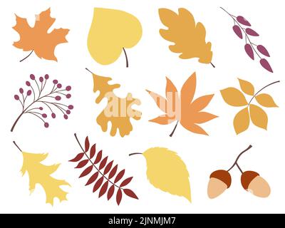 Große Reihe von Herbstblättern und Herbstobjekten. Herbst Clipart halloween oder Danksagedarstellung. Stock Vektor