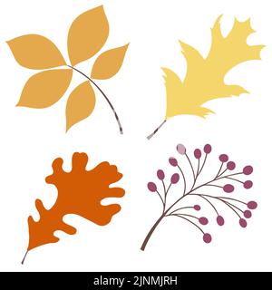 Automn Leaf Vector Icon Illustration in flachem Design. Stock Vektor
