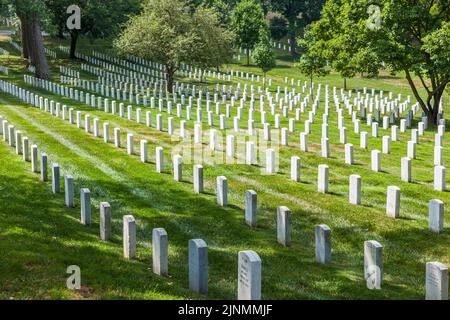 Arlington, USA - 15. Juli 2010: Grabsteine auf dem Nationalfriedhof von Arlington in Washington DC, USA. Grabsteine markieren Soldatengräber, die bei jedem Betrüger ums Leben kamen Stockfoto