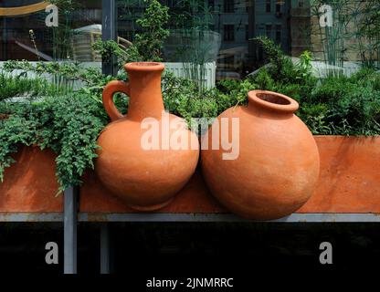 Tongläser zwischen den immergrünen Pflanzen in Töpfen auf Fensterbank Stockfoto