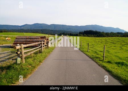 Ein sonnenbeschienenen Holzhaufen auf der Almwiese an der Straße in Steingaden in den bayerischen Alpen, Allgau, Bayern, Deutschland Stockfoto