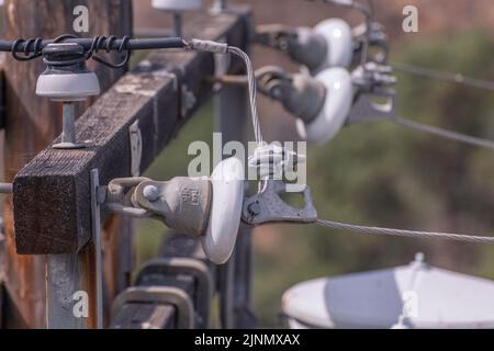 4. August 2022 - Los Angeles, CA, USA: Nahaufnahme eines Isolators an einem Strommast in Los Angeles, CA. Stockfoto