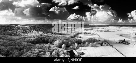 Ein schwarz-weißes Panorama der Klopfsteinkante, an der der Wald in die Weide in der Nähe von Brownstown, Indiana, übergeht. Stockfoto