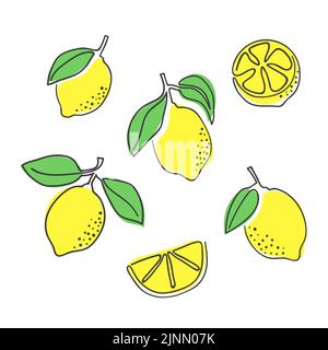 Zitronen-Set. Handgezeichnete Vektorgrafik einer Linie Zitrone. Minimalistisches Design mit Zitrusfrüchten. Stock Vektor