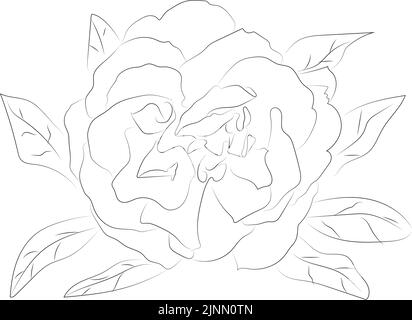 Ein einfaches schwarz-weißes Vektor-Linienmuster einer Blume auf weißem Hintergrund. Stock Vektor