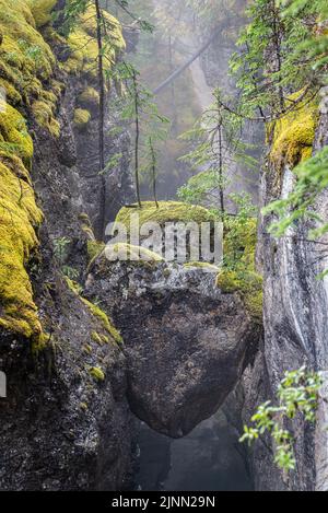 Nahaufnahme herzförmiger Steine mitten im Maligne Canyon im Jasper National Park, Kanada Stockfoto