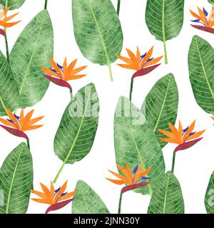Nahtloses Strelitzia Reginae-Muster mit Aquarellblumen und Blättern. Vektor tropischer Vogel Paradies Blume Hintergrund Stock Vektor