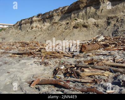 Holzstämme an den Stränden, die im Winter bei Flut hinterlassen wurden. Anschwellen der Macht Folgen, Treibholz auf dem Vorland abgelagert. Stockfoto