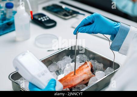 Qualitätskontrolle Inspektor Prüfung Fisch Stockfoto