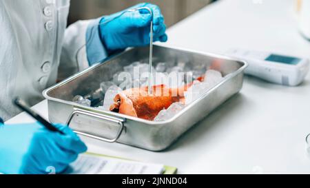 Qualitätskontrolle Inspektor Prüfung Fisch Stockfoto