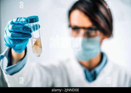 Qualitätskontrolle Inspektor Prüfung Fisch Stockfoto