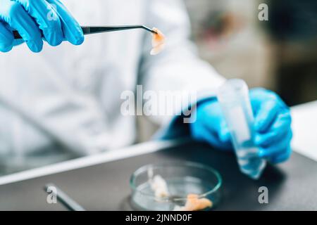 Qualitätskontrolle Inspektor Prüfung Fisch Stockfoto