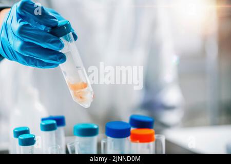 Qualitätskontrolle Inspektor Prüfung Fisch Stockfoto