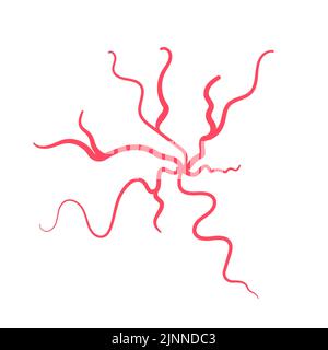 Spinnvenen, Illustration Stockfoto