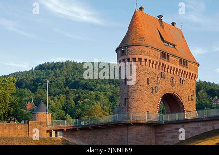 Brückentor auf der Hauptbrücke, Miltenberg, Bayern, Unterfranken, Franken, Deutschland Stockfoto