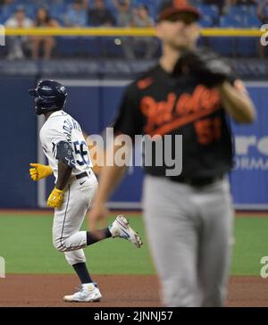 St. Petersburg, USA. 12. August 2022. Randy Arozarena (56) von Tampa Bay Rays umkreist die Basen, nachdem er am Freitag, den 12. August 2022, während des sechsten Innings im Tropicana Field in St. Petersburg, Florida, einen zweijährigen Heimflug vor dem Baltimore Orioles-Starter Austin Voth (R) getroffen hatte. Foto von Steve Nesius/UPI Credit: UPI/Alamy Live News Stockfoto